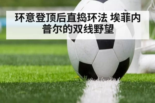 环意登顶后直捣环法 埃菲内普尔的双线野望
