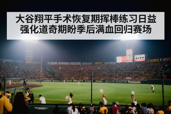 baseball stadium lights