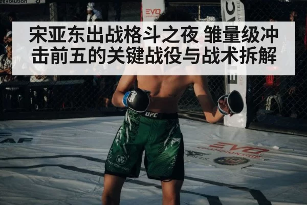 宋亚东出战格斗之夜 雏量级冲击前五的关键战役与战术拆解